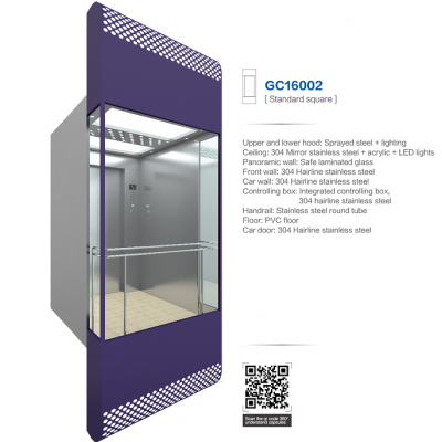 ALD Panoramic lift with Good Price(ALD-GC16002)